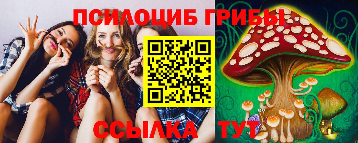 купить наркотик  Вход с VPN  Трёхгорный  Псилоцибиновые грибы MAGIC MUSHROOMS 